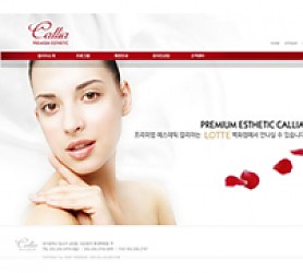 대구홈페이지제작 웹트로 제작실적