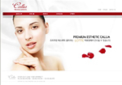 대구홈페이지제작 웹트로 제작실적