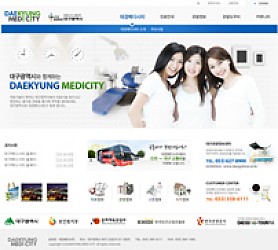 대구홈페이지제작 웹트로 제작실적