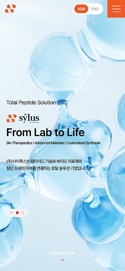 대구홈페이지제작 사이루스 (반응형)